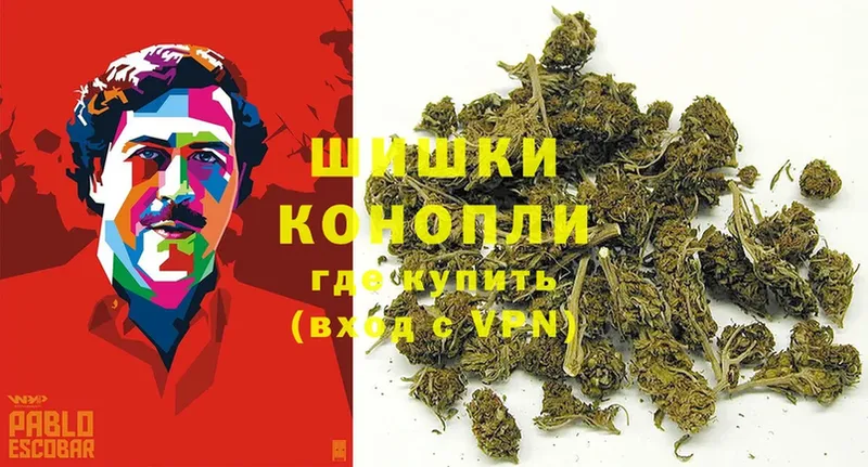 где купить   МЕГА   Марихуана OG Kush  Покровск 